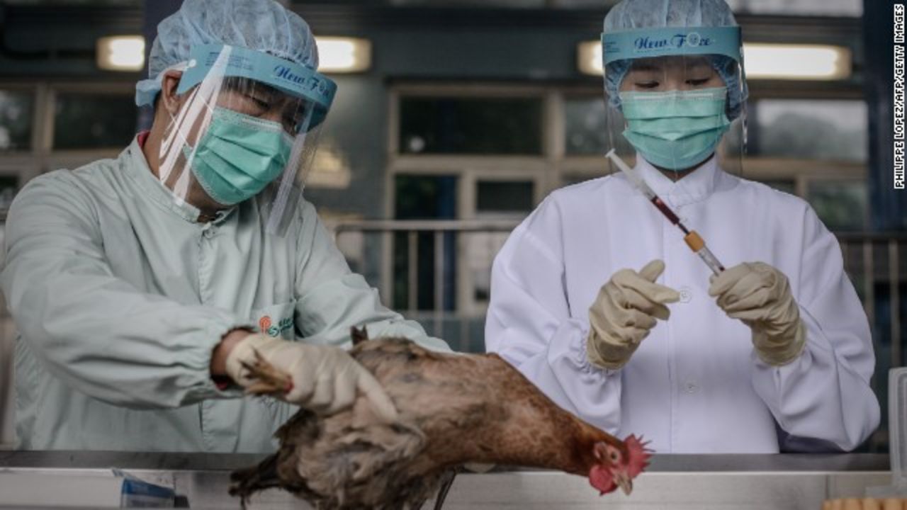 Funcionarios en Hong Kong examinan aves de corral en la frontera con China continental mientras se aumentan las medidas para detener la propagación de la gripe aviar H7N9.