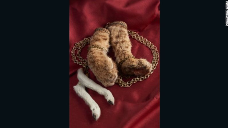 Cabezas encogidas, esqueletos fetales y otros coleccionables extraños - Estos collares -uno de patas de gato montés, el otro de piernas de cordero- pertenecen a Danielle Deveroux, un artista y el dueño de la Galería Creeper en New Hope, Pensilvania.