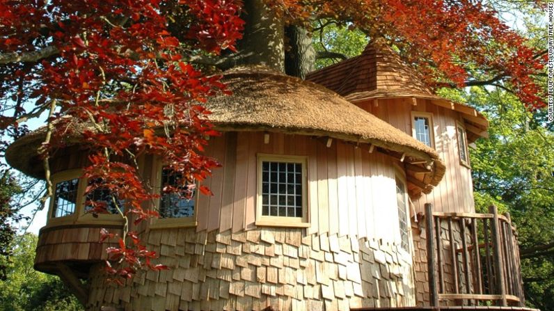 Esta mágica casa se llama "Castillo de cuento de hadas" y está construida alrededor de un árbol.