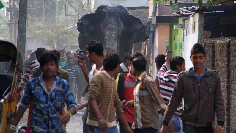 Febrero 10: un elefante salvaje se adentró en un pueblo de la India y aplastó autos y motos antes de ser atrapado.