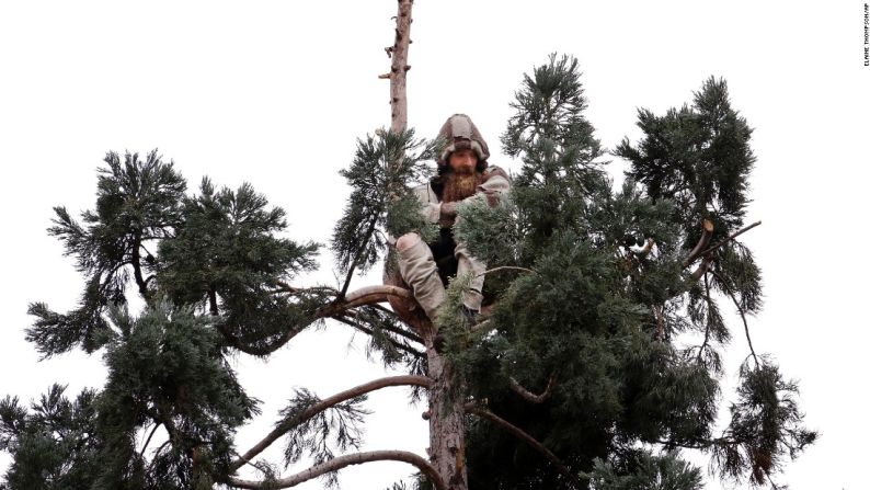 Marzo 23: un hombre se sienta cerca de la parte superior de un árbol de secuoya en el centro de Seattle. Las autoridades fueron alertadas del hombre el 22 de marzo, y él todavía se aferraba a sus ramas casi un día después.