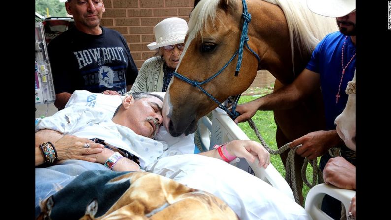 Mayo 21: un caballo acaricia con su hocico al veterano de la guerra de Vietnam Roberto Gonzales, afuera de un hospital en San Antonio. Gonzales, un entrenador de caballos con discapacidad, quiso pasar algunos de sus últimos minutos de vida con dos de sus mejores amigos: sus caballos Ringo y Sugar. Murió dos días después.