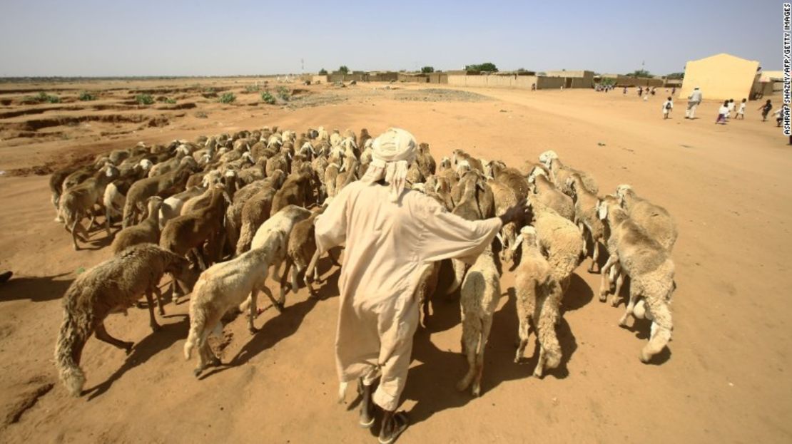 El sustento de los campesinos de miles de ciudades es cada vez más difícil por las persistentes sequías.