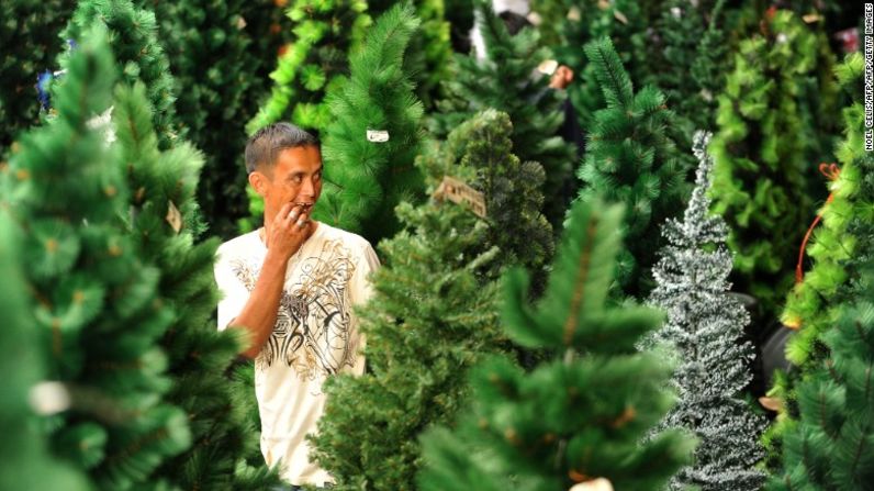 ¿Comprarás un árbol de Navidad natural, artificial o improvisarás con las plantas que tienes en tu casa?