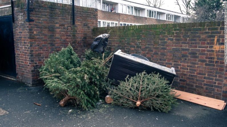 Tristemente, muchos árboles de Navidad terminan en las esquinas de las calles y finalmente el viento los arrastra hasta el vertedero más cercano.