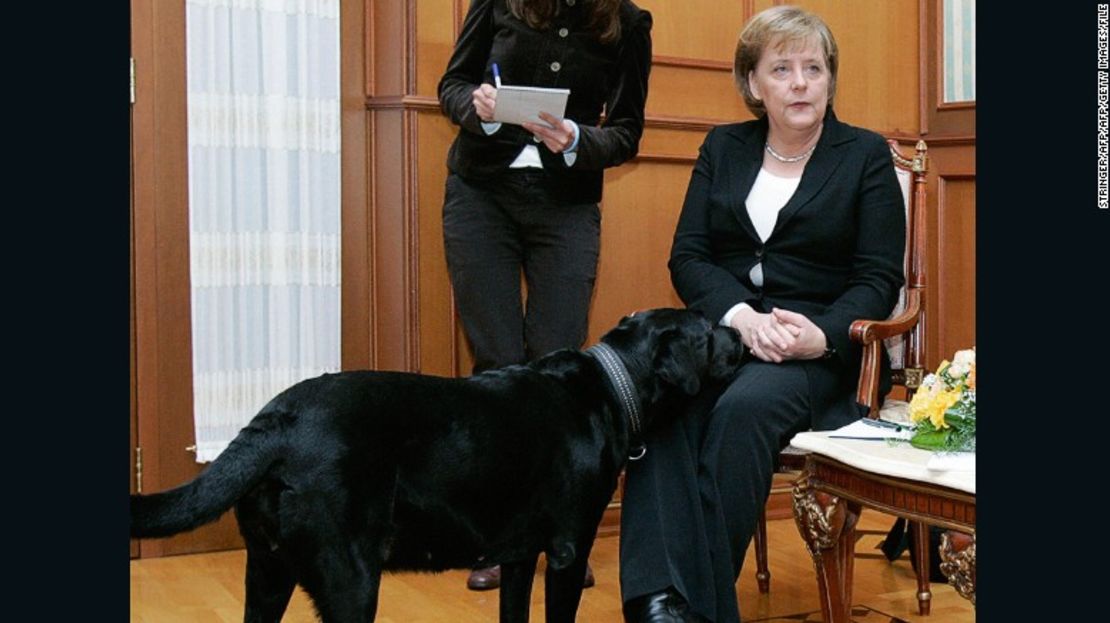 La canciller alemana, Angela Merkel, luce incómoda ante la presencia de Koni, una perra de Putin, en el 2007.