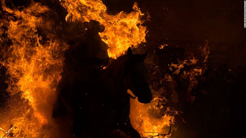 San Bartolomé de Pinares, España — Lluís Salvadó de España alcanzó el lugar número 1 en la categoría de imagen única de Viajes y Aventura por esta foto del feroz festival de San Antonio en San Bartolomé de Pinares, España.