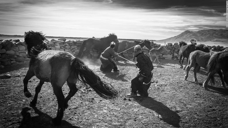 Bayankhongor, Mongolia — El fotógrafo italiano Beniamino Pisati fue nombrado como ganador en la categoría de portafolio de Viajes y Aventuras por esta imagen de propietarios de praderas y su relación con caballos salvajes.