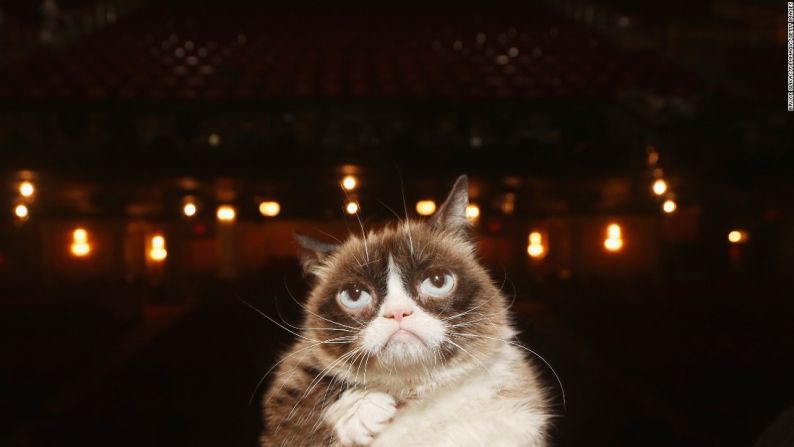 La sensación viral conocido como ‘Grumpy Cat’ hace su debut en Broadway apareciendo en el musical ‘Cats’ el viernes 30 de septiembre.