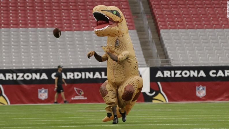 El jugador Patrick Perterson del equipo Arizona se vistió como un dinosaurio durante el calentamiento antes de un juego de la NFL frente a los New York Jets el 17 de octubre. Fue su castigo por perder una competencia amistosa.