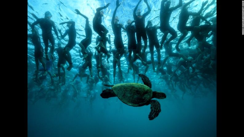 Una tortuga de mar nada debajo de los atletas que participan en la triatlón Ironman en Kailua-Kona, Hawai, el sábado 8 de octubre.