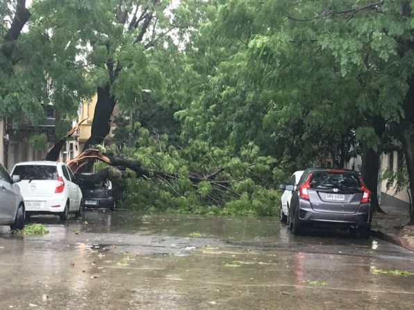 Los vientos tumbaron árboles y afectaron casas.