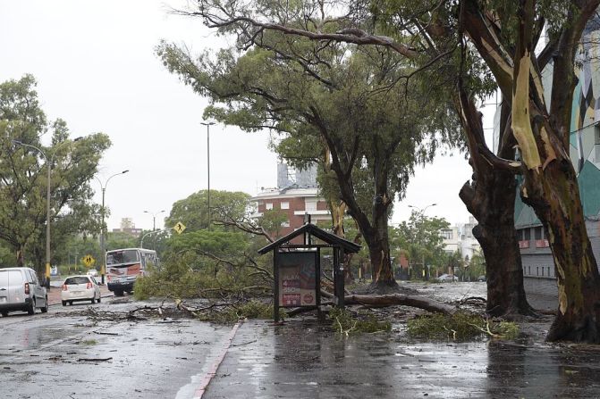 Un temporal con vientos de más de 100 km por hora causó estragos en Montevideo este 3 de enero.