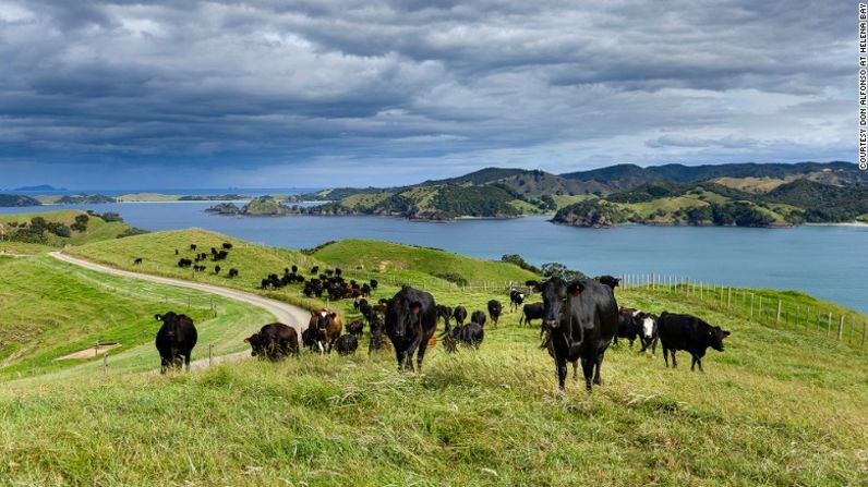 Don Alfonso en Elena Bay, Northland, Nueva Zelandia — Con tantas hectáreas de jardines de la propiedad, los comensales pueden estar seguros de que serán atendidos con la comida más fresca durante su cena.