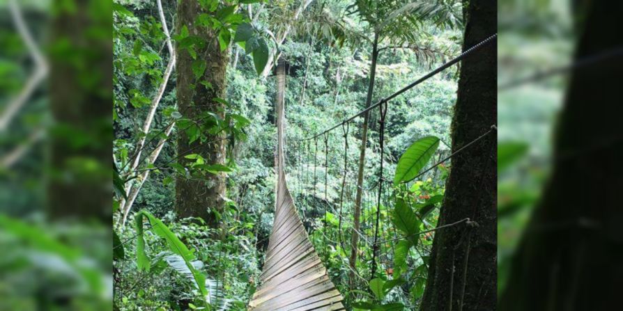 El colapso del puente colgante ocurrió el lunes 9 de enero, festivo en Colombia, el día en que más personas visitan ese sector de los Llanos Orientales, según las autoridades.