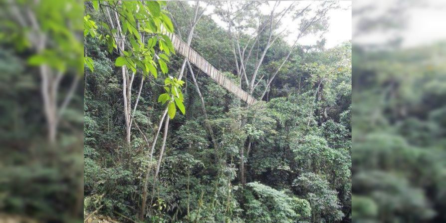 Un puente colgante colapsó este 9 de enero hacia las 11 de la mañana en la vereda el Carmen, en el departamento del Meta, en los Llanos Orientales de Colombia.