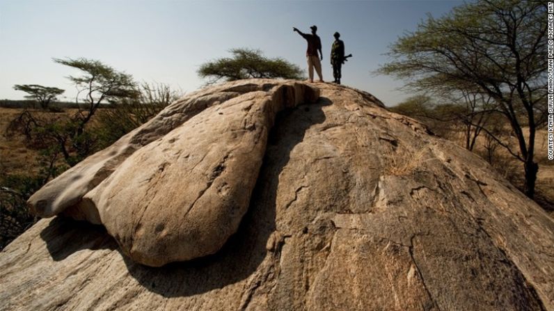 La mejor manera de ver rinocerontes negros en Kenya es desde el exclusivo y nuevo campo Saruni Rhino, que abre en febrero del 2017 y solo tiene dos pequeñas casas de piedra, abiertas. Los precios van desde 630 dólares por persona y por noche.