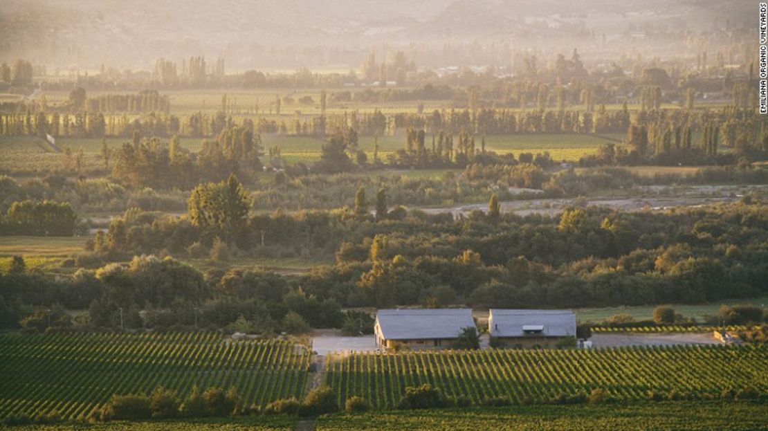 Viñedos Orgánicos Emiliana, en el Valle de Casablanca, en Chile.