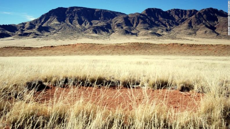 Conocidos como los círculos de las hadas, esos puntos han sido por mucho tiempo un misterio para los científicos.