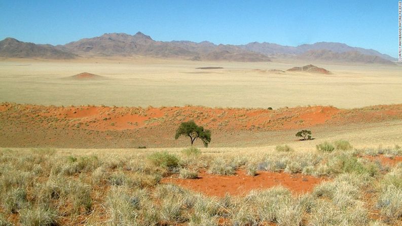 En climas áridos, donde el agua es escasa y el suelo pobre en nutrientes, las plantas enfrentan una competencia más dura por conseguir recursos. Como resultado se “organizan” ellas mismas a una distancia en la que puedan maximizar los recursos limitados que están disponibles, por lo que al final forman los patrones ordenados del paisaje.