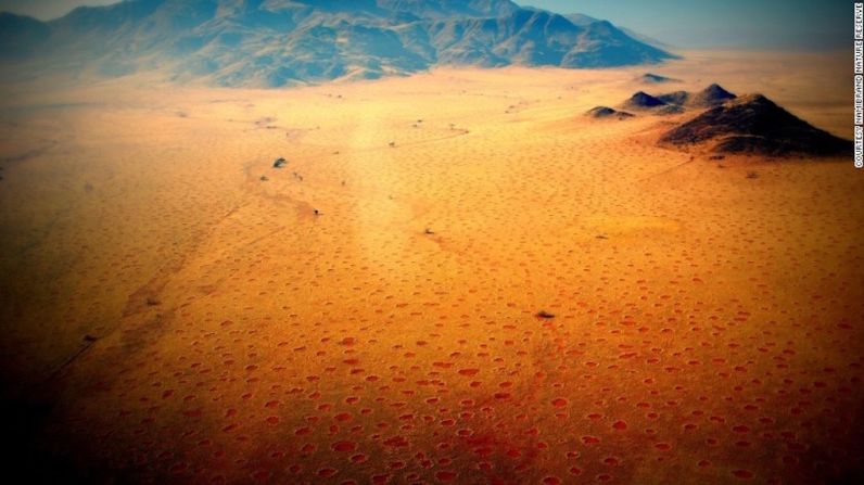 Extraños puntos estériles —bordeados con vegetación alta— se esparcen al rededor de una distancia de 1.700 kilómetros a lo largo del desierto de Namibia.