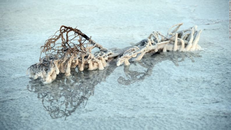 Nueva cubierta — Los depósitos de sal se acumulan alrededor de todo lo que tocan en este lago salado, cubriendo ramas secas.