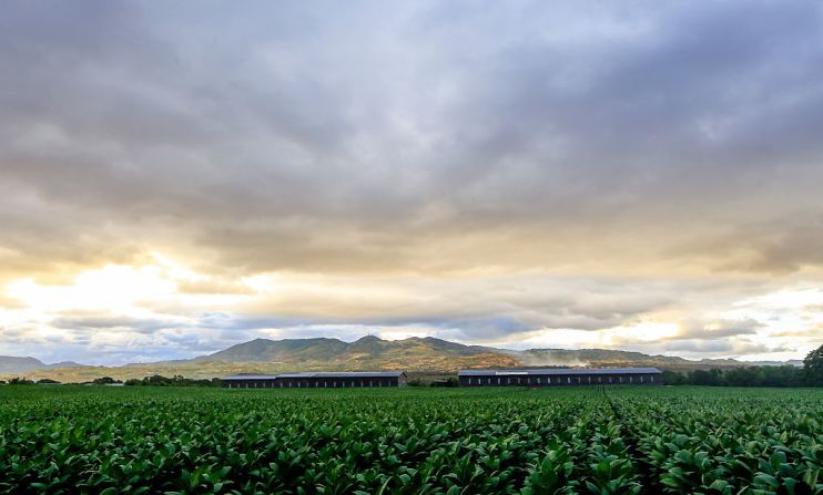 Estelí es el nombre de la ciudad y del departamento del norte de Nicaragua donde se concentran las grandes plantaciones de tabaco del país.