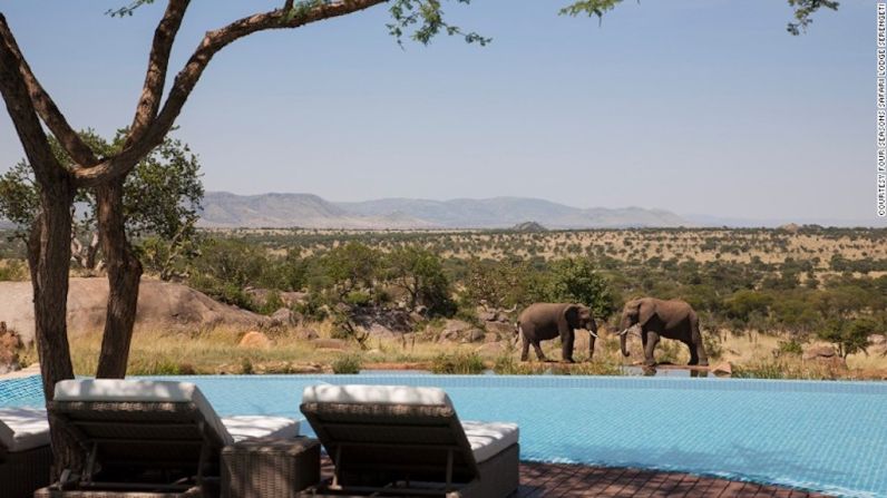 Un safari romántico en Tanzania — Toma un safari romántico en el Parque Nacional Serengeti de Tanzania, un lugar donde podrás encontrar a los “siete románticos”, los animales más afectuosos de todo el parque. La noche por pareja cuesta 1.540 dólares e incluye todas las comidas, cervezas, vinos de la casa y licores.