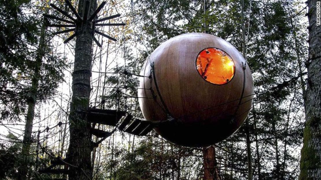 Hay casas en el árbol para niños, luego están las casas en el árbol para adultos.