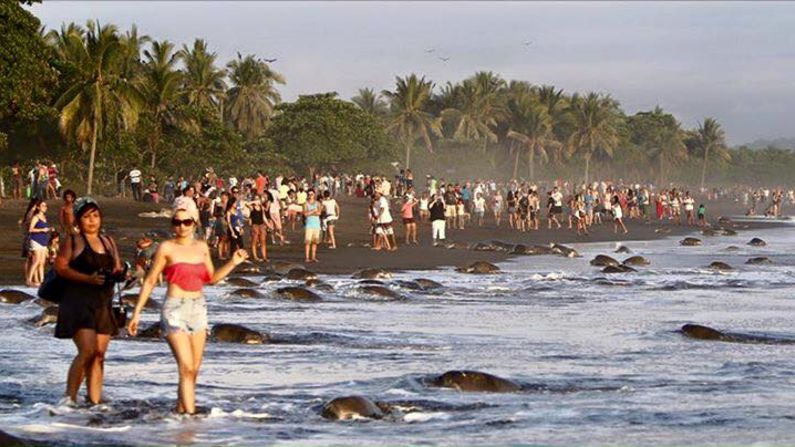 Por eso, los asociados, junto con a los guardacostas y guardaparques, procuran evitar una entrada masiva y sin control de turistas.