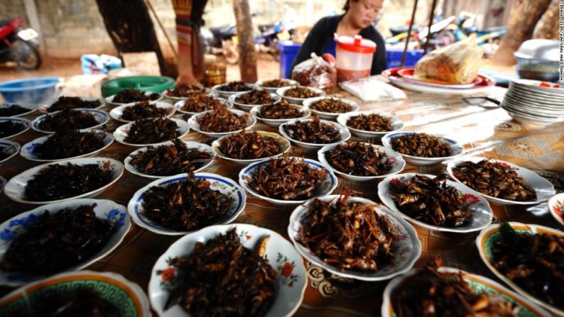 Los grillos están entre los insectos que más se comen en el mundo y son vistos por muchos como una solución para el problema de malnutrición que aqueja a Laos. Los grillos y los saltamontes fritos se venden en varios mercados, como este de Vientiane. Según un anexo de opinión de los consumidores a un informe de la ONU, los grillos cultivados saben mejor que los grillos en estado salvaje.