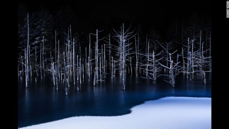 Esta postal de Japón fue galardonada con el premio a mejor fotografía de naturaleza en 2017. Copyright: © Hiroshi Tanita, Japan, 1st Place, Open, Nature, 2017 Sony World Photography Awards