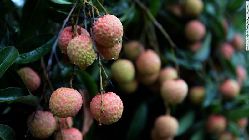 Lichi — Las toxinas naturales del lichi han sido vinculadas con intoxicación que produce fiebre, convulsiones y ataques epilépticos.