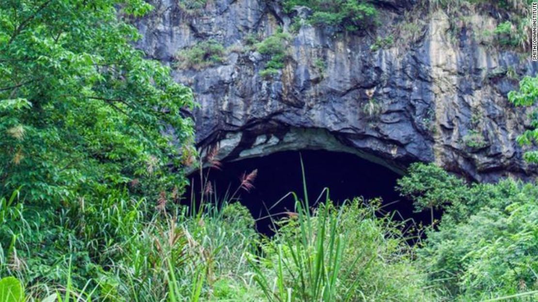 La entrada de una de las cuevas en la provincia Yunnan, en China, que EcoHealth Alliance ha estado explorando por más de diez años.