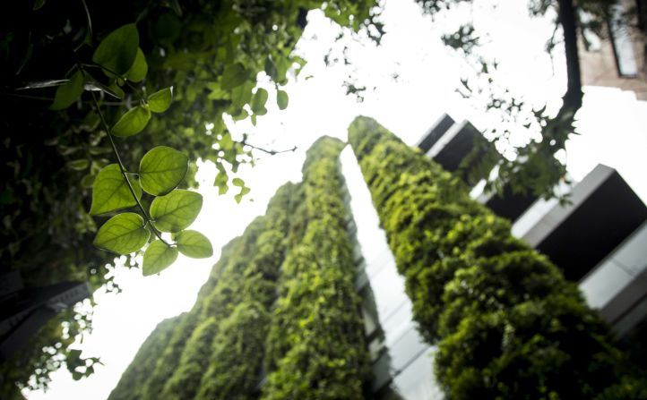 El edificio Los Rosales es uno de los proyectos de infraestructura "verde" más grandes de América Latina.