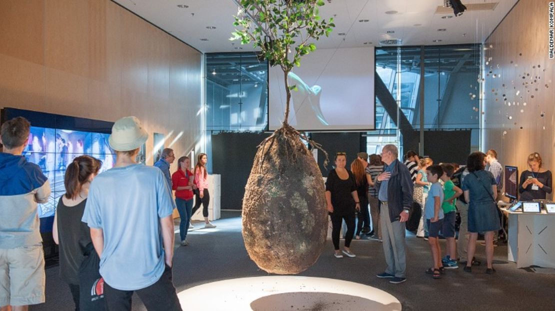 La 'Capsula Mundi' en el Festival de Ciencia Przemiany en Varsovia, Polonia, en el 2016.