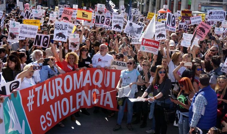 17 organizaciones se unieron en una campaña bautizada como "Tauromaquia es Violencia" con el fin de conseguir "la abolición de todo tipo de festejos taurinos", según el sitio web oficial de la campaña.