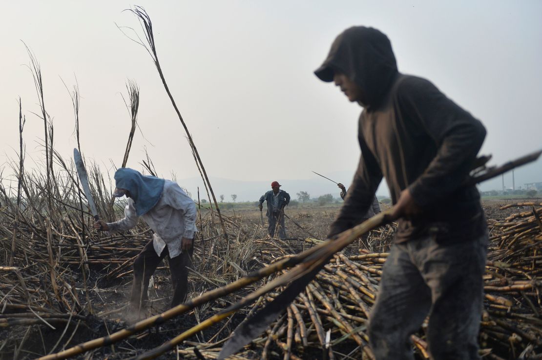 Trabajadores de la caña de azúcar en Atencingo, estado de Puebla, en el sur de México.