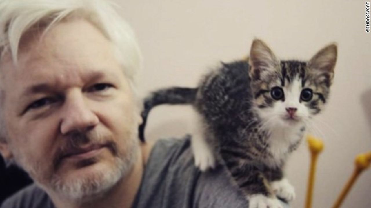 CNNE 411535 - 170519170138-cnnee-embassy-cat-assange-embajada-gato-julian-story-top