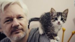 CNNE 411535 - 170519170138-cnnee-embassy-cat-assange-embajada-gato-julian-story-top