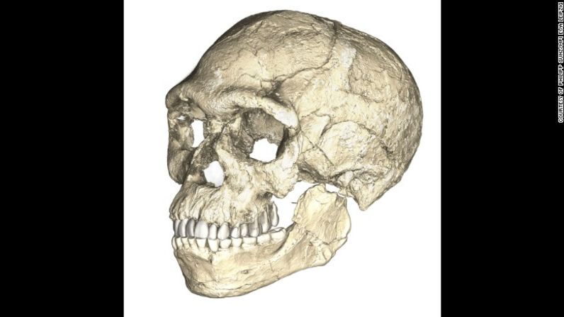 Los restos fósiles más antiguos de un Homo sapiens datan de hace 300.000 años y se encontraron en un sitio en Jebel Irhoud, Marruecos