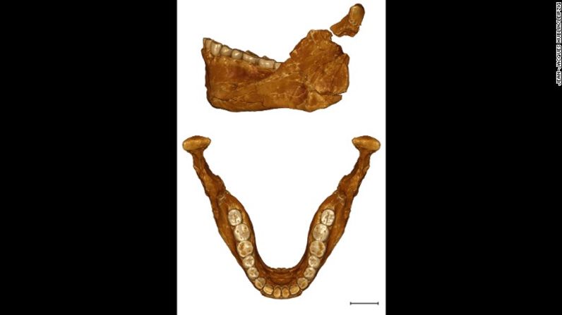 Cada vez hay más pruebas de que el linaje humano moderno se separó de los neandertales y los denisovanos hace 500.000 años, haciéndonos parientes cercanos más que descendientes directos