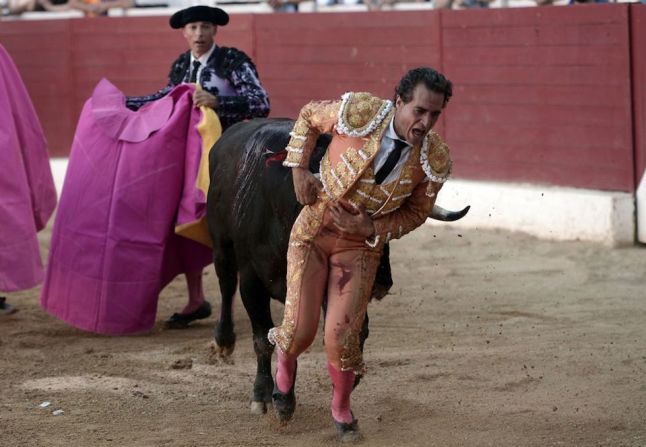 El torero resbaló al intentar hacer un quite a un toro de su compañero, cayó al suelo y fue entonces que recibió la cornada.