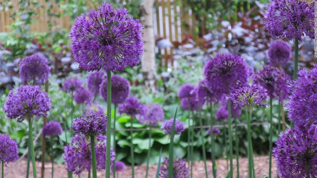 Jardín Comunal de Dalston.