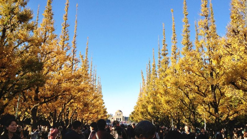 La ruta preferida para correr del autor Haruki Murakami en Tokio es la del Parque Meiji Jingu Gaien. De ella habla en su libro 'De qué hablo cuando hablo de correr'.