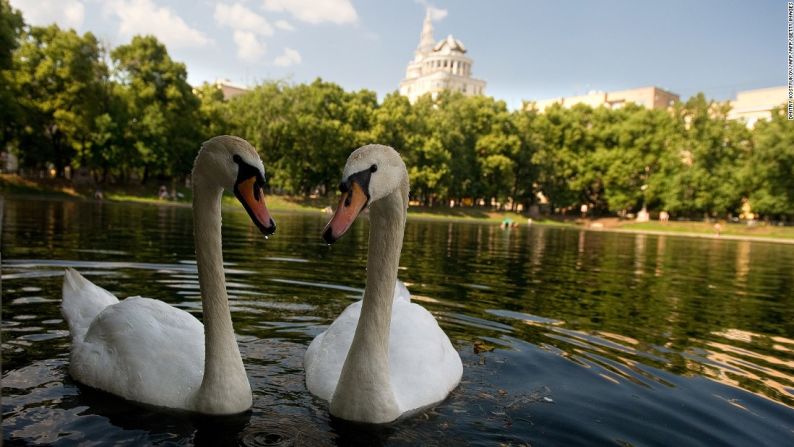 El Lago del Patriarca, en Moscú, aparece en la primera escena del libro 'El maestro y Margarita', del autor Mikhail Bulgakov. Está muy cerca del apartamento comunal de la calle Bolshaya Sadovaya que no solo fue el lugar donde vivió, sino el que le dio el material para casi todas sus obras y hoy es un museo.