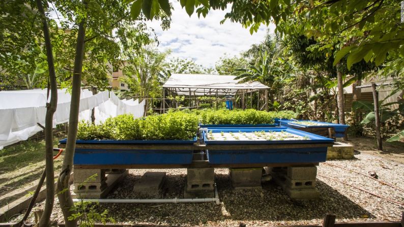 La propiedad está 100% alimentada por energía solar y no tiene aire acondicionado, pero usa un sistema de ventilación inteligente para circular el viento natural de la playa. Tiene sistemas de recolección de agua de lluvia y una granja orgánica con 2.000 árboles para compensar las emisiones de carbono.