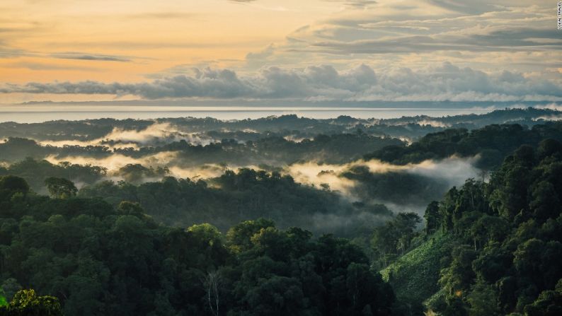 La Península Osa de Costa Rica se jacta de ser el lugar “más intenso biológicamente” del planeta. Eso significa que alberga el 2,5% de la biodiversidad del mundo, en un área que ocupa la mitad del tamaño de Rhode Island.