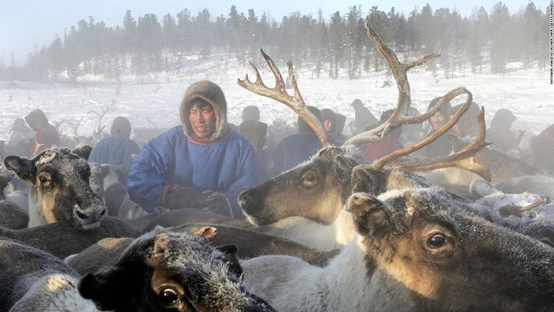 Muy por encima del Círculo Ártico viven los Nenets, pastores indígenas de renos nómadas que viven en el extremo del Ártico siberiano. Para llegar a esa tierra aislada, que pocas personas han pisado, debes viajar en tren, bus y 'trekol', un gran camión. El viaje desafía todos los límites de la aventura porque en la tundra congelada las temperaturas pueden ser de hasta -50 grados Celsius.