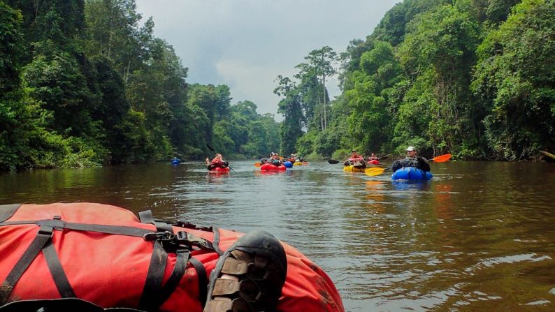 Cada vez más, Gabon se está posicionando como un destino turístico de animales salvajes y ecológico.